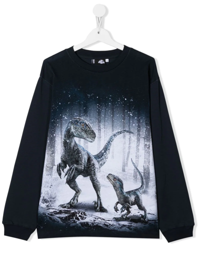 Molo Teen Rube Forest Dino-print Organic Cotton Sweatshirt In Blue