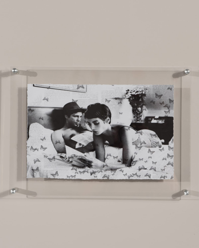 Rfa Fine Art Butterfly Stories Print Photography Art In Plexi Frame
