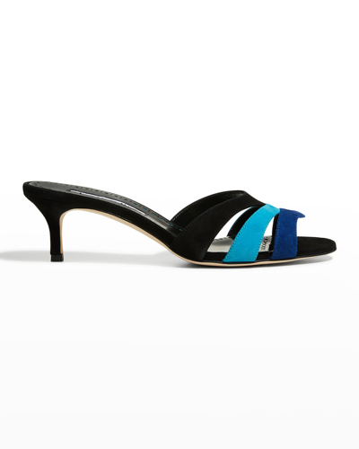 Manolo Blahnik Suspiro Colorblock Suede Mule Sandals In Black/blue