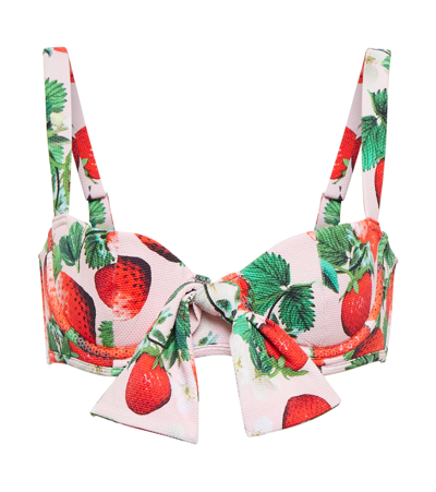 Alexandra Miro Clara Printed Bikini Top In Berry Prt