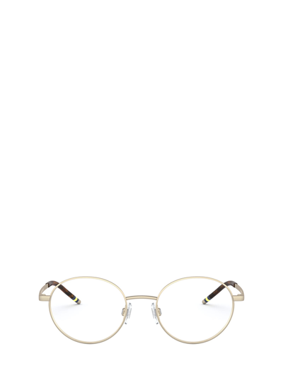 Polo Ralph Lauren Ph1193 Matte Pale Gold Glasses