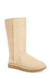 Ugg 'classic Ii' Genuine Shearling Lined Tall Boot (women) In Sand Suede