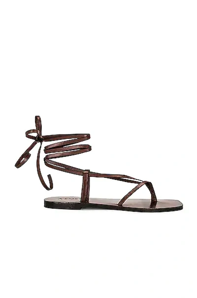 A.emery Women's Nolan Leather Sandals In Brown
