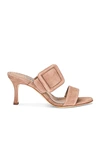 MANOLO BLAHNIK SUEDE GABLE 70 SANDAL