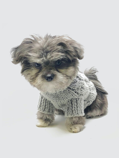 Miamore Mia Cable Knit Dog Sweater In Grey