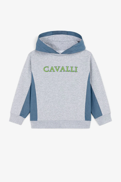 Roberto Cavalli Junior Kids' Logo-print Pullover Hoodie In Grey