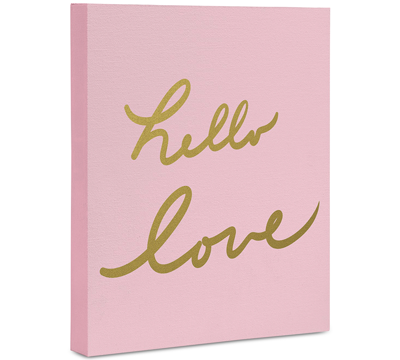 Deny Designs Lisa Argyropoulos Hello Love Pink Art Canvas 16x20"