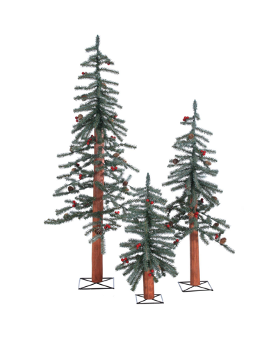 Gerson International Unlit Frosted Alpine Trees, Set Of 3 In Green