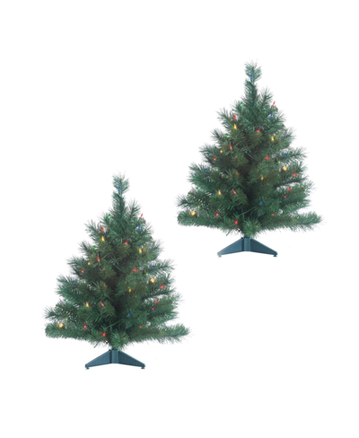 Gerson International 2' Pre-lit Colorado Spruce With 50 Ul Lights Each, Set Of 2 In Green