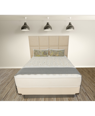 Paramount Nature's Spa By  Eminence 13.5" Luxury Firm Mattress Set- Queen