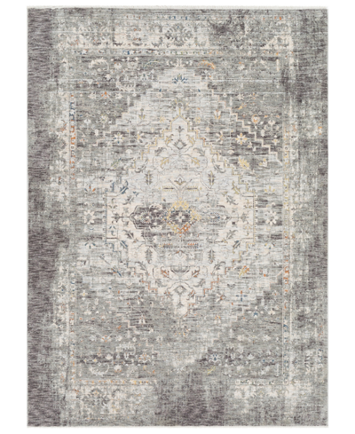 Surya Presidential Pdt-2311 Medium Gray 2' X 3'3" Area Rug