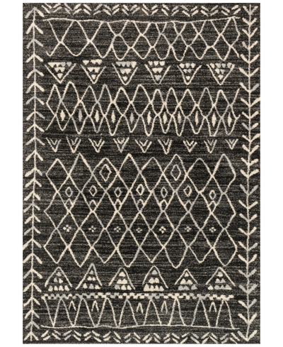 Spring Valley Home Emory Eb-09 Black/ivory5'3" X 7'7" Area Rug