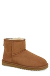 Ugg Biscuit Suede Classic Mini Ii Ankle Boots In Chestnut