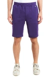 Pino By Pinoporte Gigi Solid Shorts In Purple