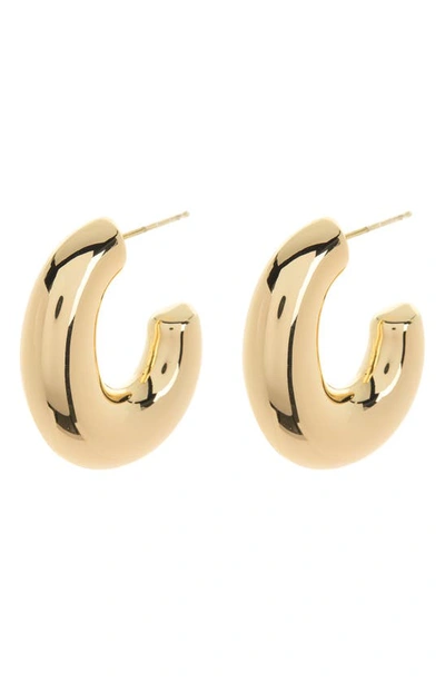 Sterling Forever Avril Hoop Earrings In Gold