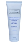 Province Apothecary Hydrating Rescue Balm In Baby Blue - 481