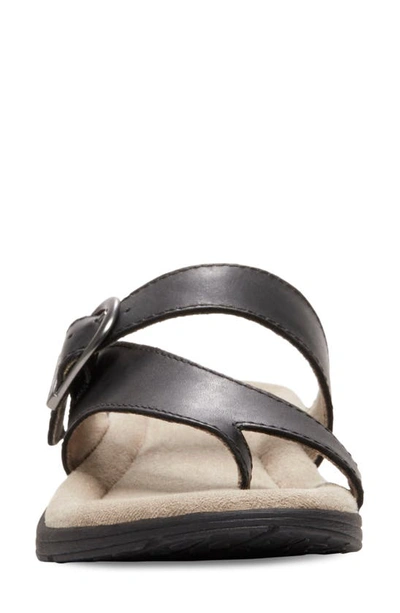 Eastland Tahiti Ii Buckled Sandal In Black