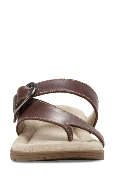 Eastland Tahiti Ii Buckled Sandal In Brown