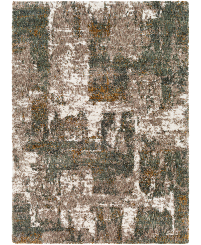 Surya Celestial Shag Csg2306 5'3" X 7' Area Rug In Khaki