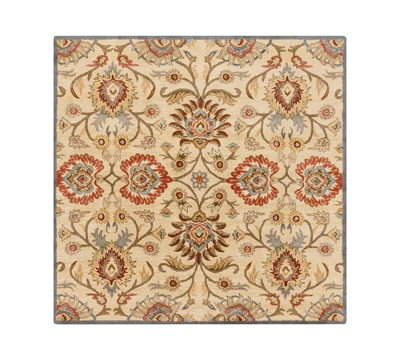 Surya Caesar Cae-1116 Ivory 6' Square Area Rug