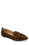 Chase & Chloe Pointy Toe Loafer In Leopard Suede
