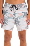 Hurley Phantom Naturals Sessions Board Shorts In Barely Bone