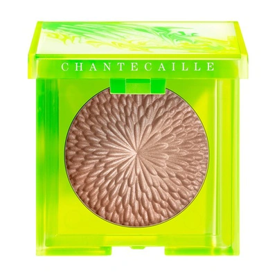 Chantecaille Sunbeam Cheek And Eye Shade In Ray