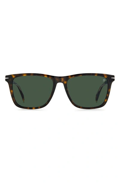 David Beckham Eyewear 55mm Rectangular Sunglasses In Havana / Green
