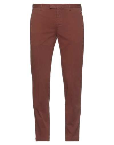 Pt Torino Pants In Brown