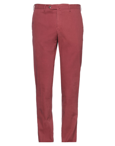 Pt Torino Pants In Maroon