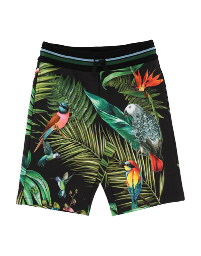 Dolce & Gabbana Kids' Shorts & Bermuda Shorts In Black