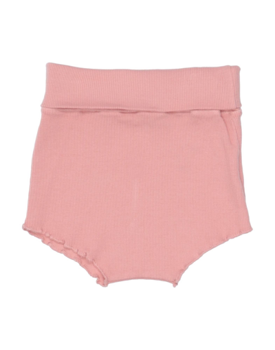 1+ In The Family Kids' 1 + In The Family Newborn Girl Shorts & Bermuda Shorts Salmon Pink Size 1 Cotton, Elastane