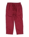 Dolce & Gabbana Kids' Pants In Maroon