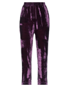 Hod Pants In Purple