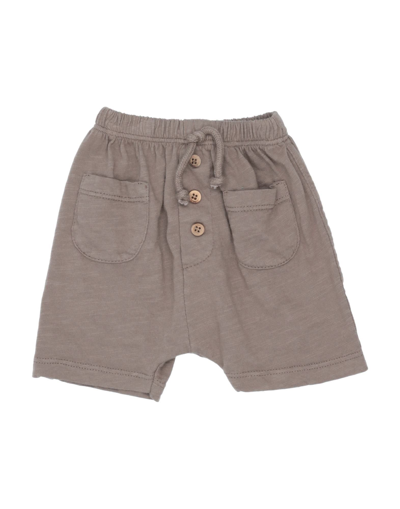 Aventiquattrore Kids'  Newborn Boy Shorts & Bermuda Shorts Light Brown Size 3 Cotton In Beige