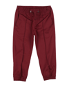 Dolce & Gabbana Kids' Pants In Maroon