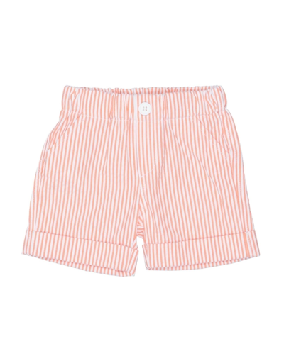 Aletta Kids'  Newborn Boy Shorts & Bermuda Shorts Orange Size 3 Cotton, Elastane