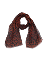 Dolce & Gabbana Scarves In Brown