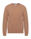 Scaglione Sweaters In Camel