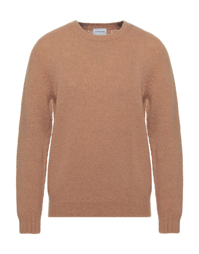 Scaglione Sweaters In Camel