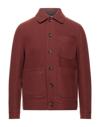 Circolo 1901 Jackets In Brown