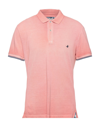 Salmon Pink