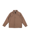 Manuel Ritz Shirts In Brown
