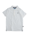 HARMONT & BLAINE POLO SHIRTS