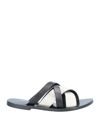 Studio Pollini Sandals In Grey