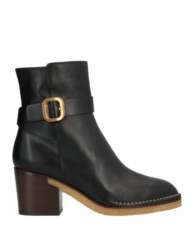 Tod's Ankle Boots In Black