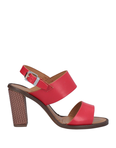 Paola Ferri Sandals In Red