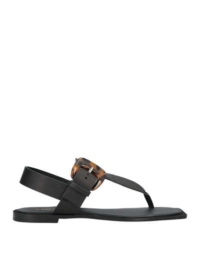 Cafènoir Toe Strap Sandals In Black