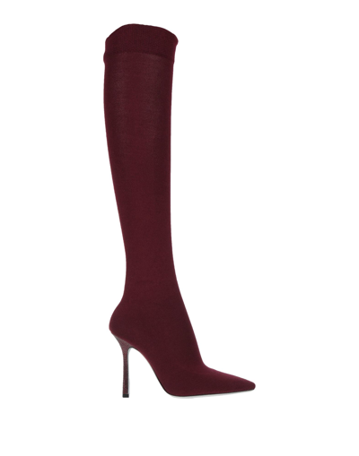 René Caovilla Knee Boots In Maroon