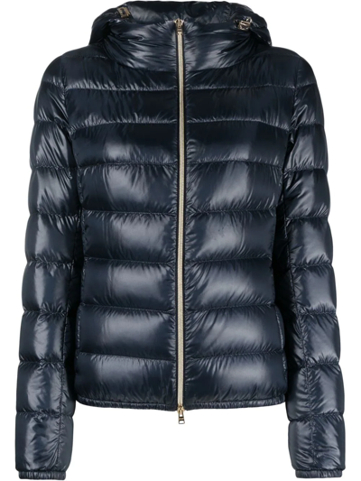 Herno Down-feather Padded Jacket In Blue